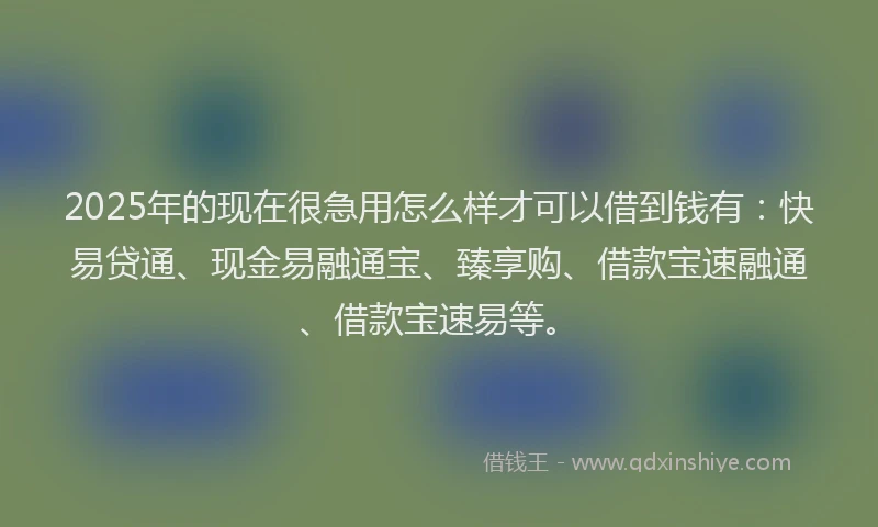 2025年的现在很急用怎么样才可以借到钱有：快易贷通、现金易融通宝、臻享购、借款宝速融通、借款宝速易等。
