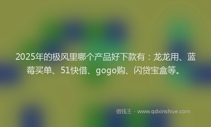 2025年的极风里哪个产品好下款有：龙龙用、蓝莓买单、51快借、gogo购、闪贷宝盒等。
