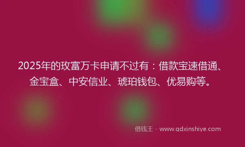 2025年的玫富万卡申请不过有：借款宝速借通、金宝盒、中安信业、琥珀钱包、优易购等。