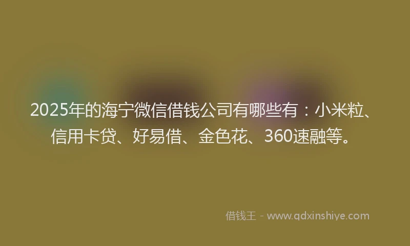 2025年的海宁微信借钱公司有哪些有：小米粒、信用卡贷、好易借、金色花、360速融等。