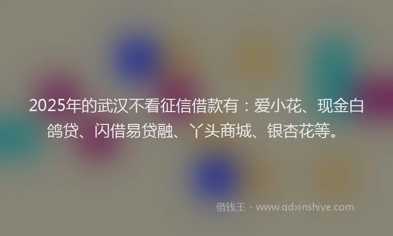 2025年的武汉不看征信借款有：爱小花、现金白鸽贷、闪借易贷融、丫头商城、银杏花等。