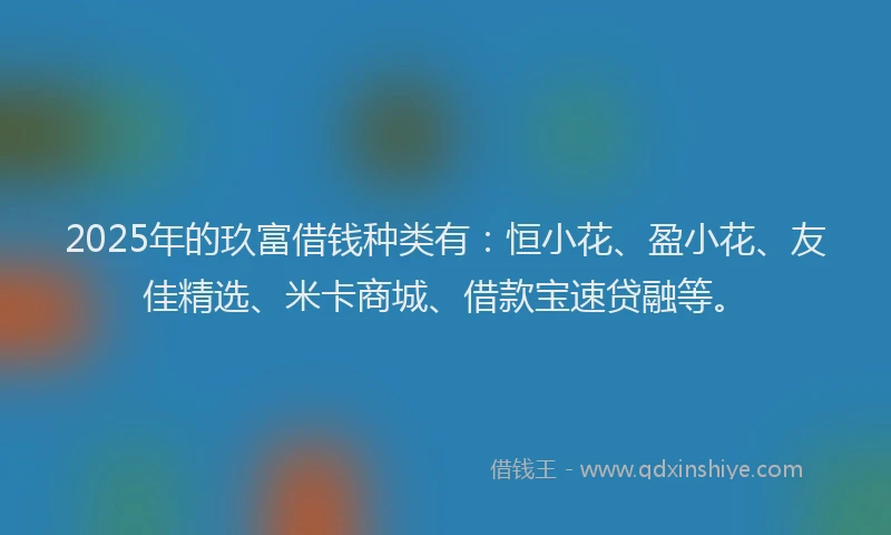 2025年的玖富借钱种类有：恒小花、盈小花、友佳精选、米卡商城、借款宝速贷融等。