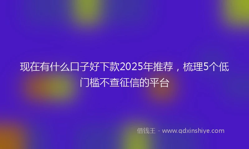 现在有什么口子好下款2025年推荐，梳理5个低门槛不查征信的平台