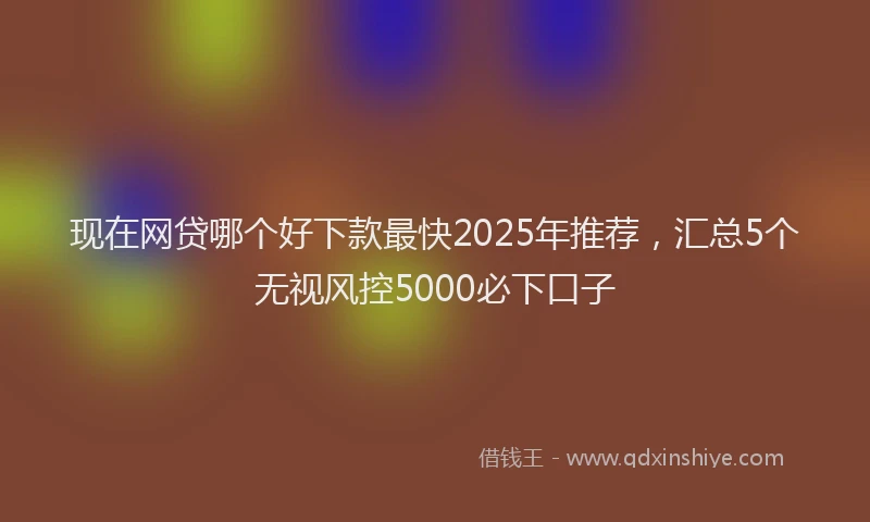 现在网贷哪个好下款最快2025年推荐，汇总5个无视风控5000必下口子