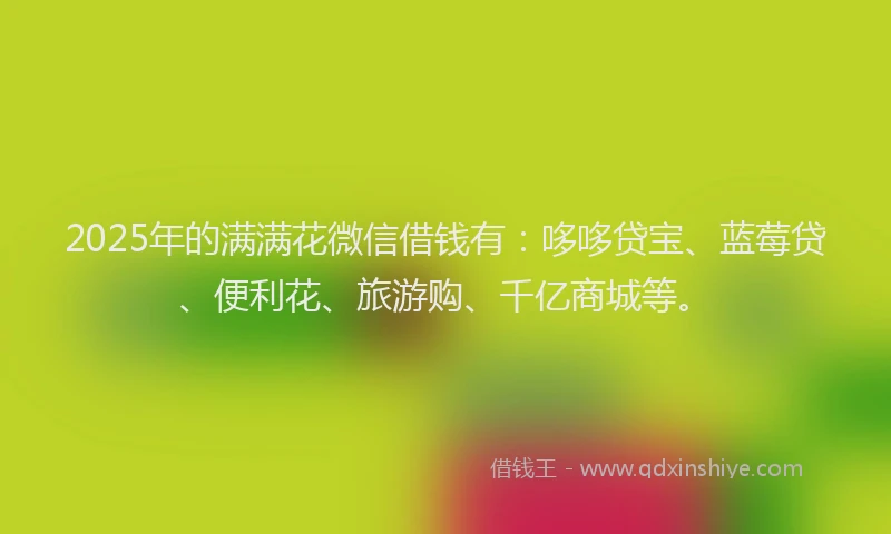 2025年的满满花微信借钱有：哆哆贷宝、蓝莓贷、便利花、旅游购、千亿商城等。