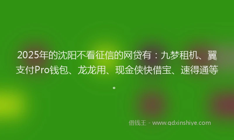 2025年的沈阳不看征信的网贷有：九梦租机、翼支付Pro钱包、龙龙用、现金侠快借宝、速得通等。