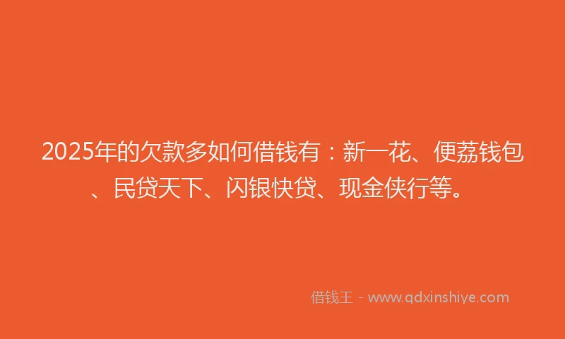 2025年的欠款多如何借钱有：新一花、便荔钱包、民贷天下、闪银快贷、现金侠行等。