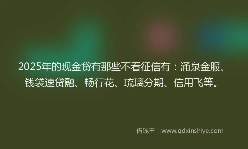2025年的现金贷有那些不看征信有：涌泉金服、钱袋速贷融、畅行花、琉璃分期、信用飞等。
