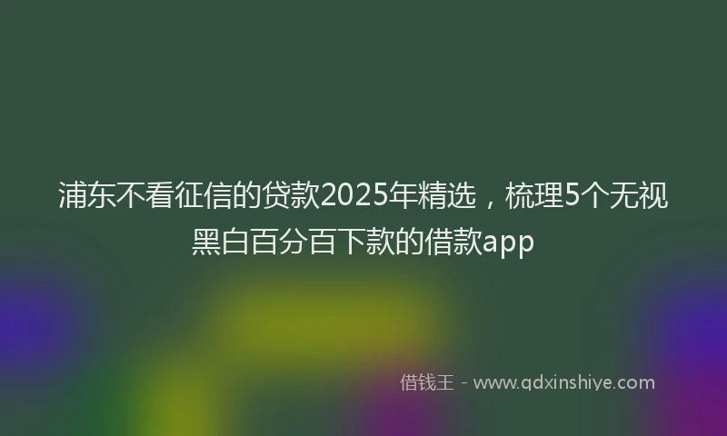 浦东不看征信的贷款2025年精选，梳理5个无视黑白百分百下款的借款app