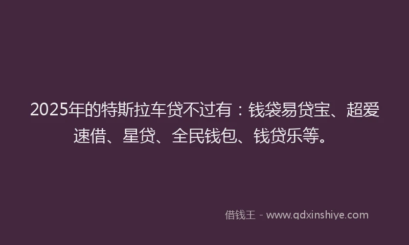 2025年的特斯拉车贷不过有：钱袋易贷宝、超爱速借、星贷、全民钱包、钱贷乐等。