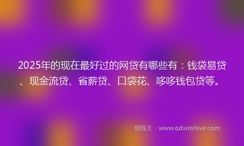 2025年的现在最好过的网贷有哪些有：钱袋易贷、现金流贷、省薪贷、口袋花、哆哆钱包贷等。