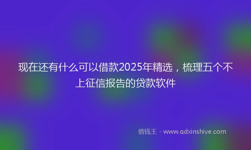 现在还有什么可以借款2025年精选，梳理五个不上征信报告的贷款软件