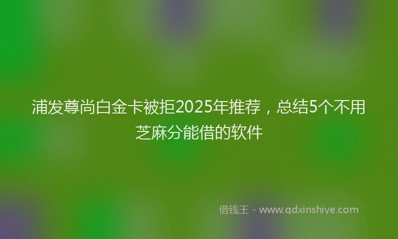 浦发尊尚白金卡被拒2025年推荐，总结5个不用芝麻分能借的软件