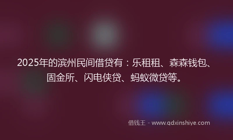 2025年的滨州民间借贷有：乐租租、森森钱包、固金所、闪电侠贷、蚂蚁微贷等。