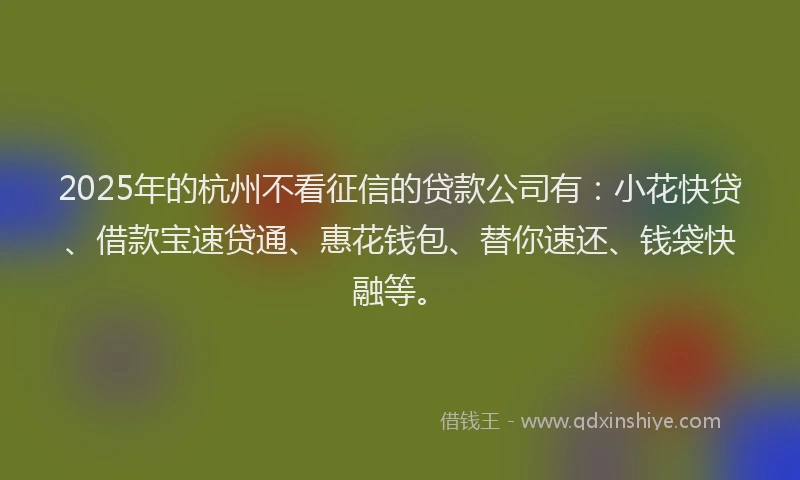 2025年的杭州不看征信的贷款公司有：小花快贷、借款宝速贷通、惠花钱包、替你速还、钱袋快融等。