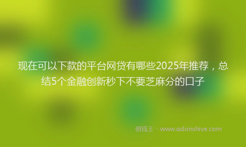 现在可以下款的平台网贷有哪些2025年推荐，总结5个金融创新秒下不要芝麻分的口子