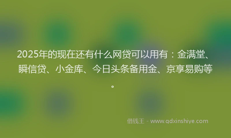 2025年的现在还有什么网贷可以用有：金满堂、瞬信贷、小金库、今日头条备用金、京享易购等。