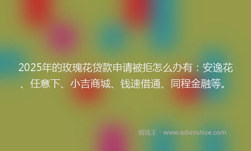 2025年的玫瑰花贷款申请被拒怎么办有：安逸花、任意下、小吉商城、钱速借通、同程金融等。