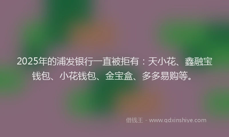 2025年的浦发银行一直被拒有：天小花、鑫融宝钱包、小花钱包、金宝盒、多多易购等。