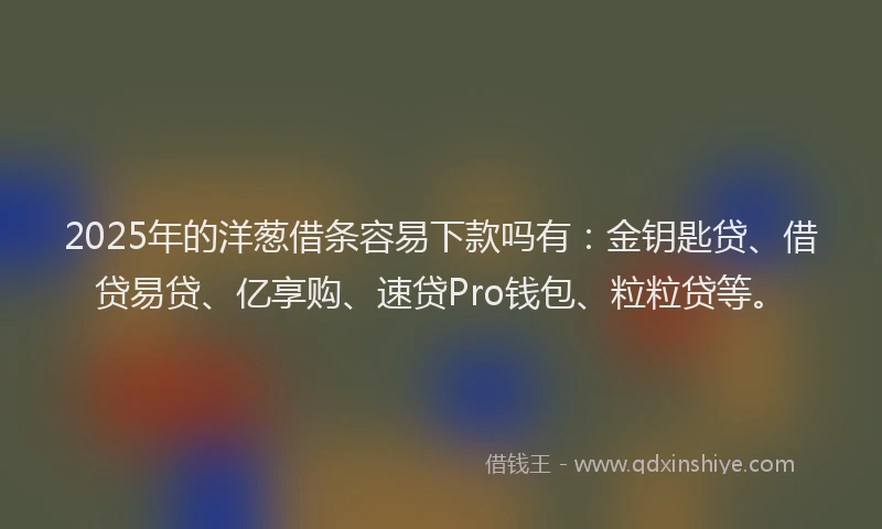 2025年的洋葱借条容易下款吗有：金钥匙贷、借贷易贷、亿享购、速贷Pro钱包、粒粒贷等。