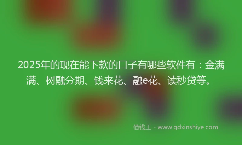 2025年的现在能下款的口子有哪些软件有：金满满、树融分期、钱来花、融e花、读秒贷等。