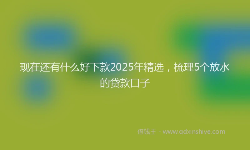 现在还有什么好下款2025年精选，梳理5个放水的贷款口子
