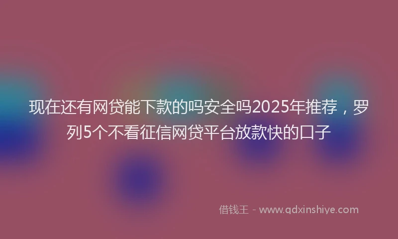 现在还有网贷能下款的吗安全吗2025年推荐，罗列5个不看征信网贷平台放款快的口子