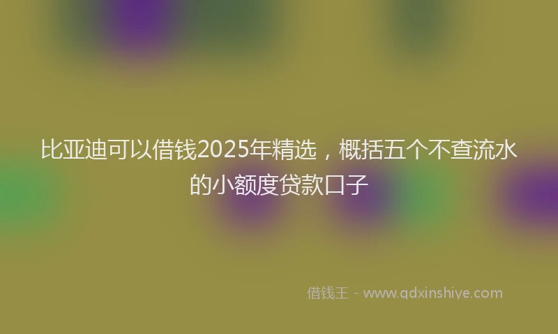 比亚迪可以借钱2025年精选，概括五个不查流水的小额度贷款口子