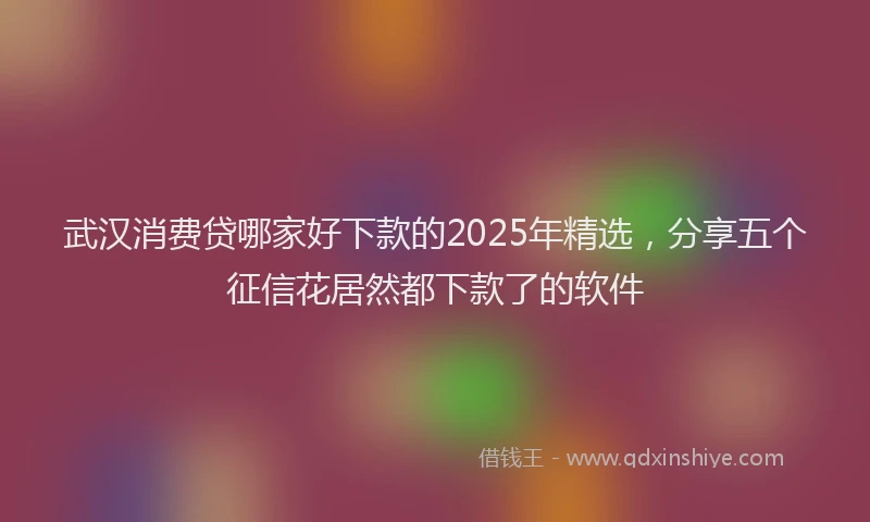 武汉消费贷哪家好下款的2025年精选，分享五个征信花居然都下款了的软件