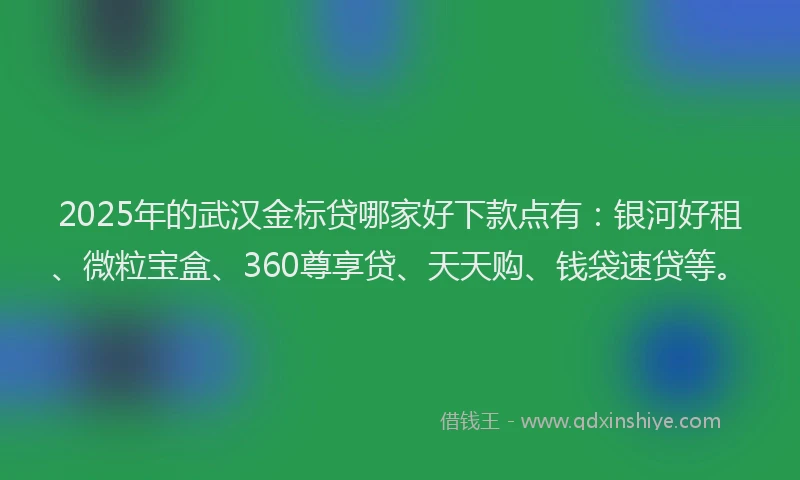 2025年的武汉金标贷哪家好下款点有：银河好租、微粒宝盒、360尊享贷、天天购、钱袋速贷等。