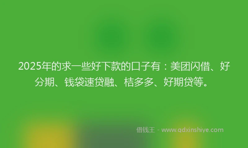 2025年的求一些好下款的口子有：美团闪借、好分期、钱袋速贷融、桔多多、好期贷等。