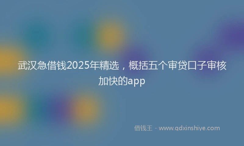 武汉急借钱2025年精选，概括五个审贷口子审核加快的app