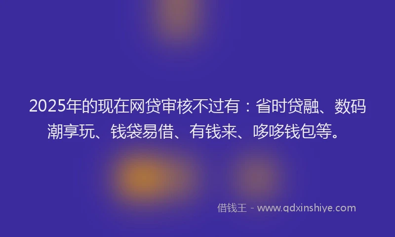 2025年的现在网贷审核不过有：省时贷融、数码潮享玩、钱袋易借、有钱来、哆哆钱包等。