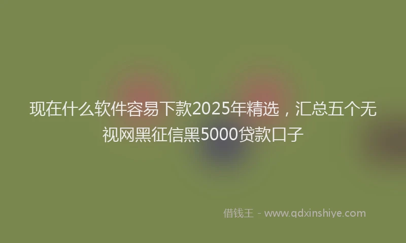 现在什么软件容易下款2025年精选，汇总五个无视网黑征信黑5000贷款口子
