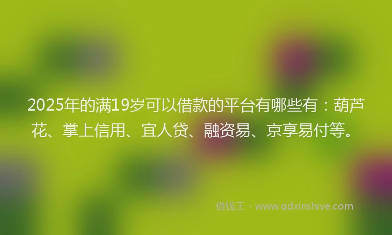 2025年的满19岁可以借款的平台有哪些有：葫芦花、掌上信用、宜人贷、融资易、京享易付等。