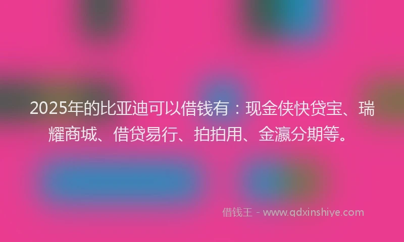 2025年的比亚迪可以借钱有：现金侠快贷宝、瑞耀商城、借贷易行、拍拍用、金瀛分期等。