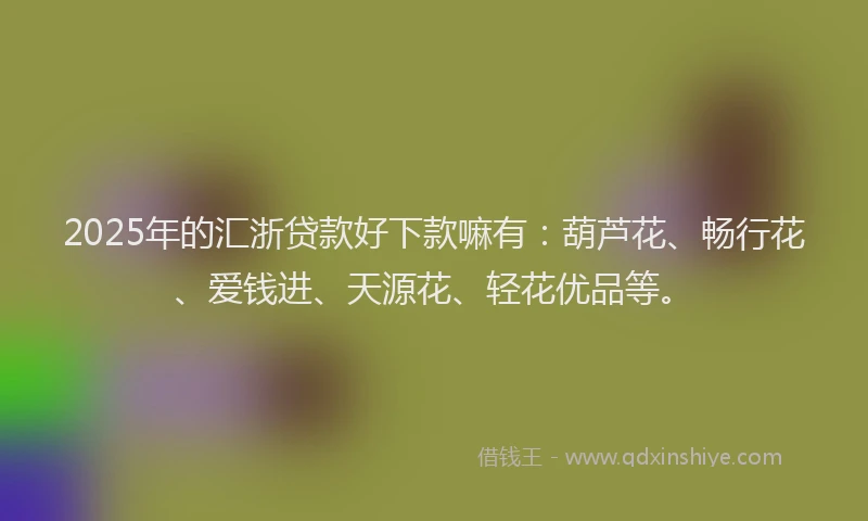 2025年的汇浙贷款好下款嘛有：葫芦花、畅行花、爱钱进、天源花、轻花优品等。