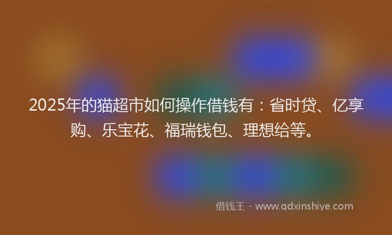 2025年的猫超市如何操作借钱有：省时贷、亿享购、乐宝花、福瑞钱包、理想给等。