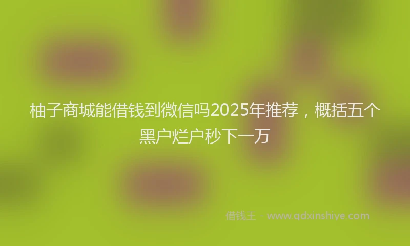 柚子商城能借钱到微信吗2025年推荐，概括五个黑户烂户秒下一万