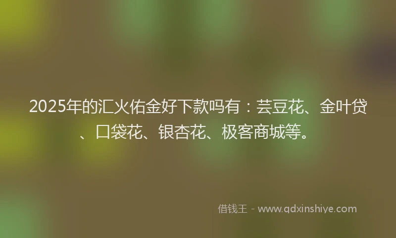 2025年的汇火佑金好下款吗有：芸豆花、金叶贷、口袋花、银杏花、极客商城等。