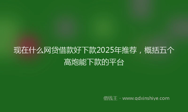 现在什么网贷借款好下款2025年推荐，概括五个高炮能下款的平台