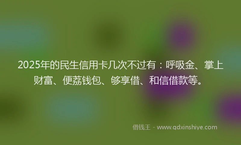 2025年的民生信用卡几次不过有：呼吸金、掌上财富、便荔钱包、够享借、和信借款等。
