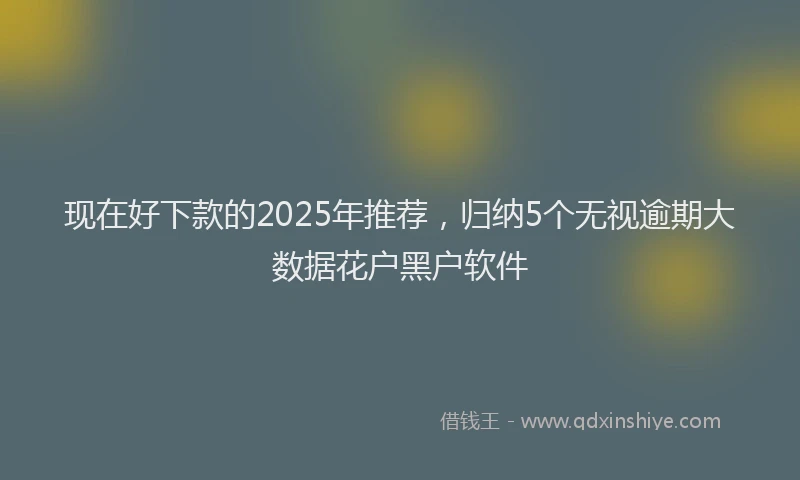 现在好下款的2025年推荐，归纳5个无视逾期大数据花户黑户软件