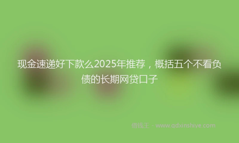现金速递好下款么2025年推荐，概括五个不看负债的长期网贷口子