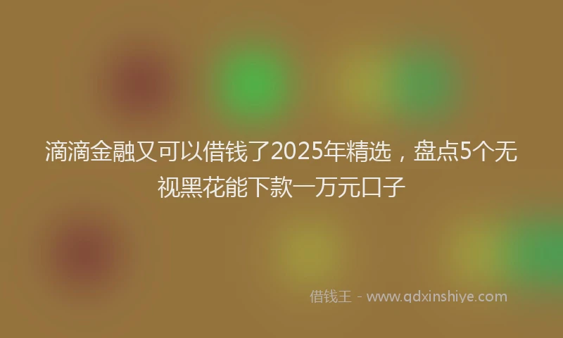 滴滴金融又可以借钱了2025年精选，盘点5个无视黑花能下款一万元口子