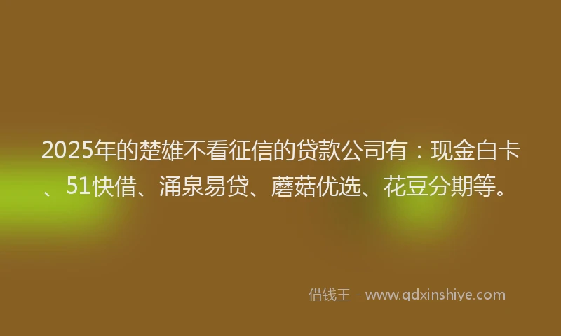 2025年的楚雄不看征信的贷款公司有：现金白卡、51快借、涌泉易贷、蘑菇优选、花豆分期等。