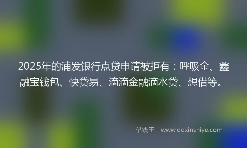 2025年的浦发银行点贷申请被拒有：呼吸金、鑫融宝钱包、快贷易、滴滴金融滴水贷、想借等。