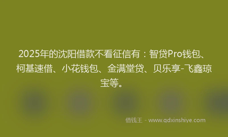 2025年的沈阳借款不看征信有：智贷Pro钱包、柯基速借、小花钱包、金满堂贷、贝乐享-飞鑫琼宝等。