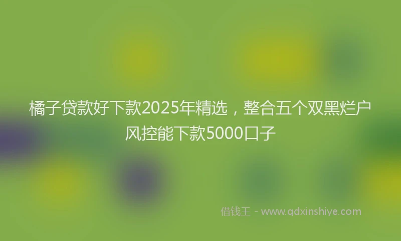 橘子贷款好下款2025年精选，整合五个双黑烂户风控能下款5000口子