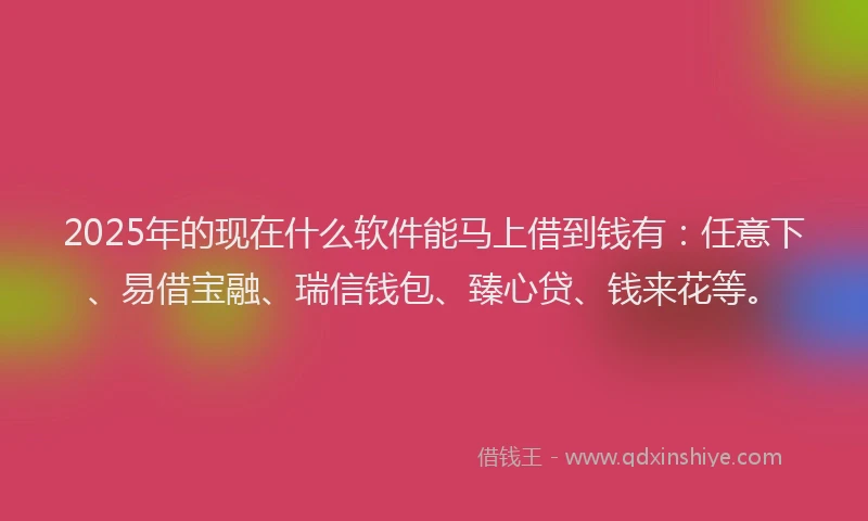 2025年的现在什么软件能马上借到钱有：任意下、易借宝融、瑞信钱包、臻心贷、钱来花等。